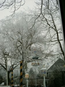 Winter im KGV Eichenbühl